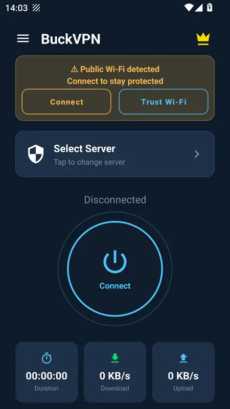 Скриншот интерфейса Buck VPN